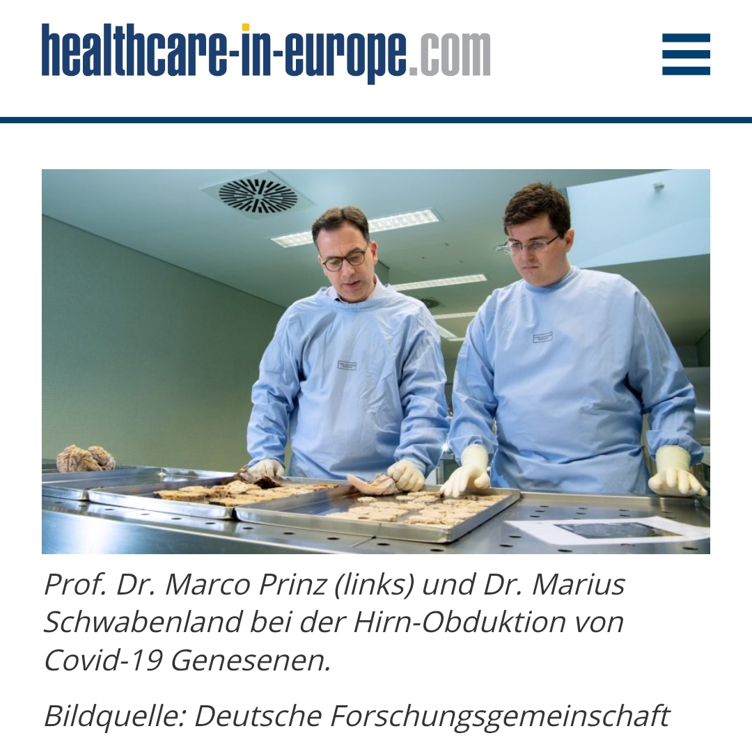Healthcare in europe Narben im Gehirn