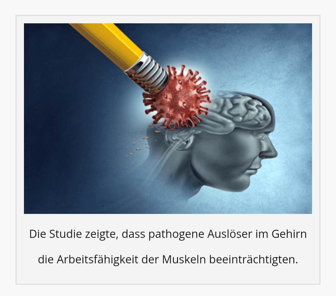 Healthrising Neuroinflammation