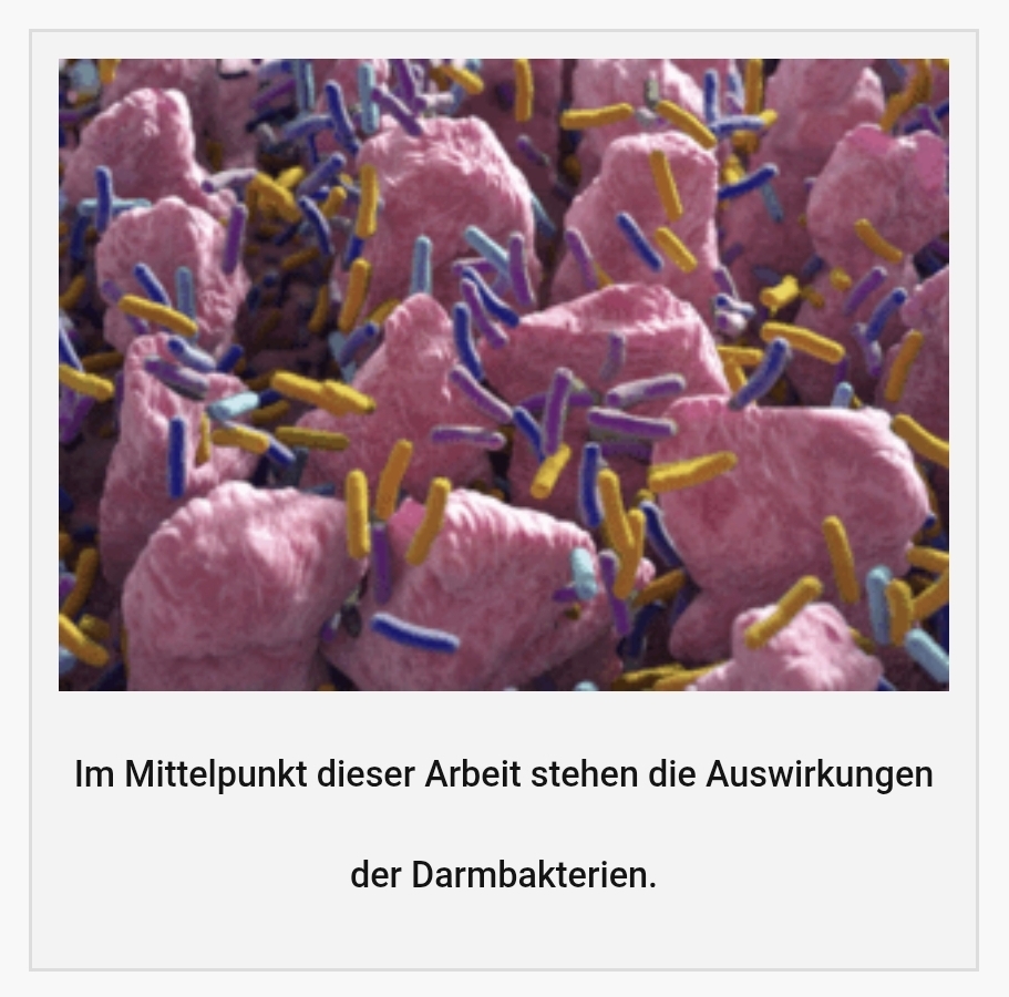 Healthrising Darm