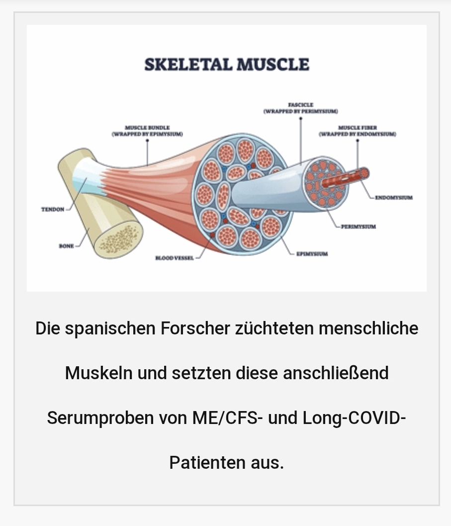 Healthrising Irgendwas im Blut