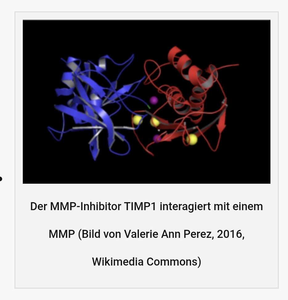 Healthrising MMP Inhibitor
