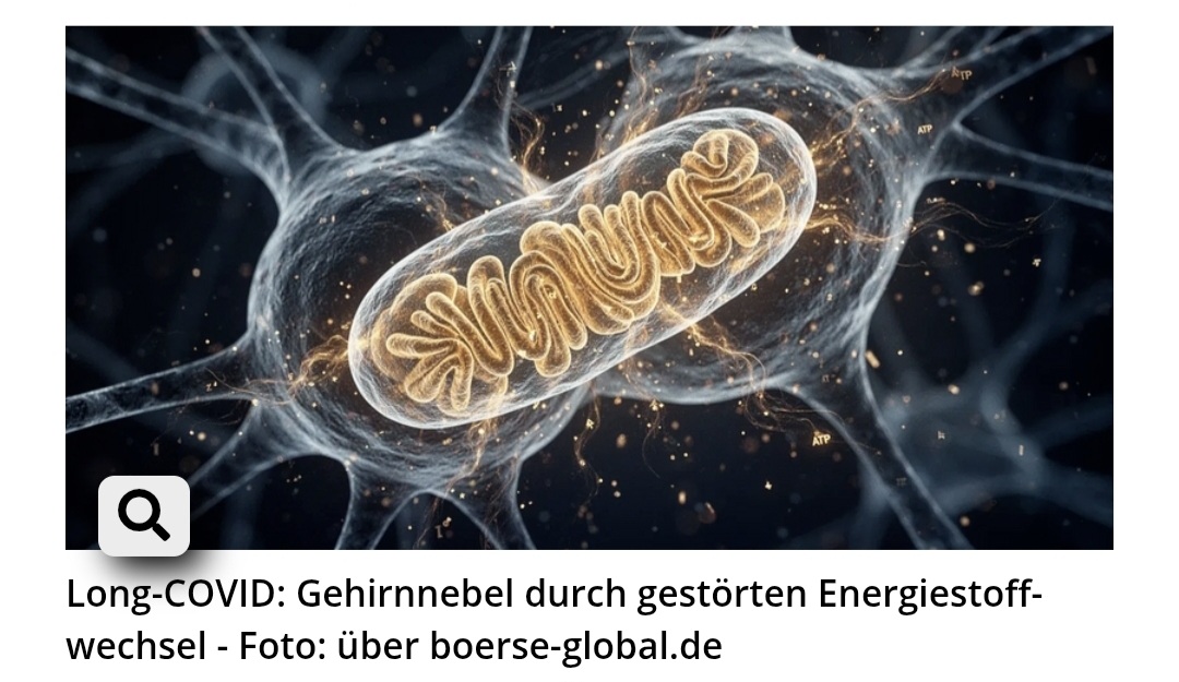 Gehirnnebel Long Covid Mitochondrien