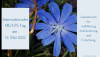 Internationaler ME/CFS Tag 12. Mai 2022
