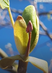 Let's talk about Sex: Im Gespräch mit Betroffenen (2)