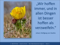 Eine Wundertüte mit bitterem Beigeschmack