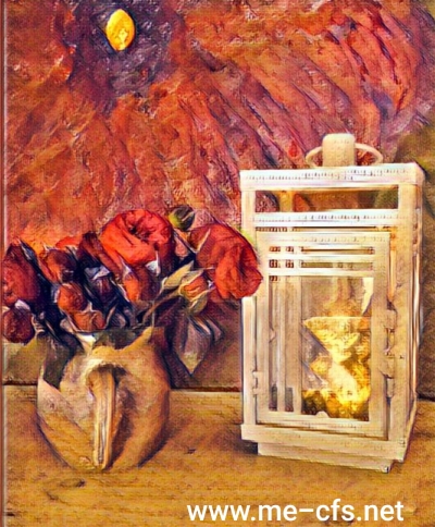 Florence Nightingale &amp; die Rolle der Frau in Bezug zur aktuellen Lage von ME/CFS