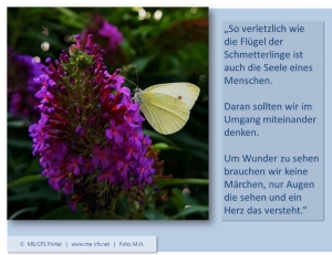 ME/CFS: Leben wie ein Schmetterling im Käfig